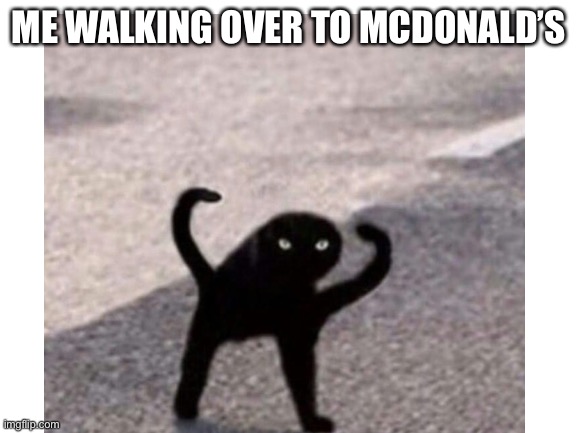 ME WALKING OVER TO MCDONALD’S | image tagged in cat,funny,mcdonalds | made w/ Imgflip meme maker