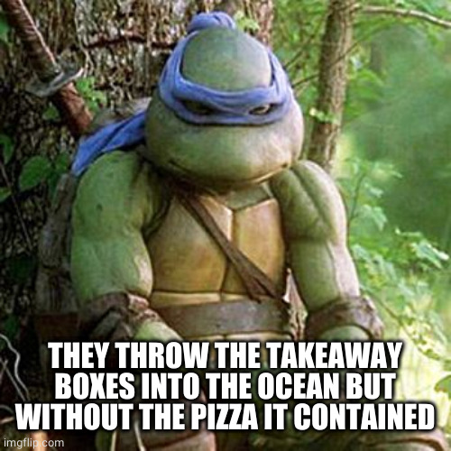 Sad Ninja Turtle | THEY THROW THE TAKEAWAY BOXES INTO THE OCEAN BUT WITHOUT THE PIZZA IT CONTAINED | image tagged in sad ninja turtle | made w/ Imgflip meme maker