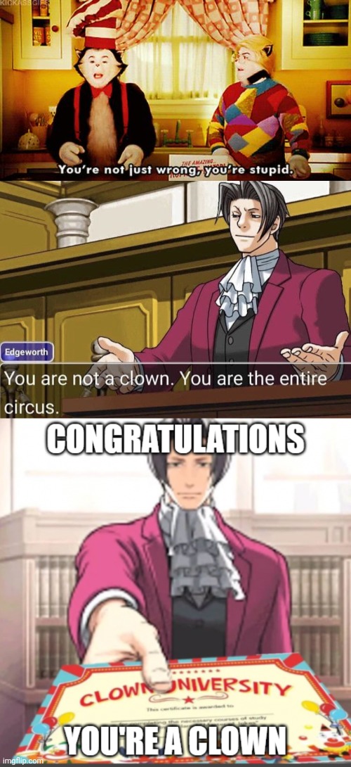 image tagged in you're not just wrong you're stupid,you're not a clown you're the entire circus,congrats you're a clown | made w/ Imgflip meme maker