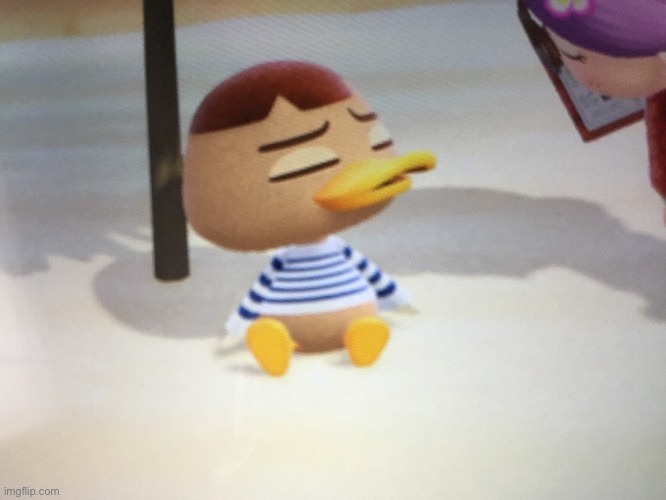 Duck Frisk | made w/ Imgflip meme maker