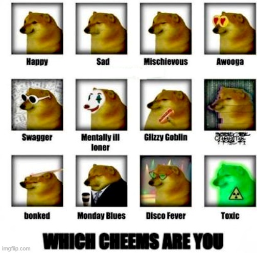 which? | made w/ Imgflip meme maker