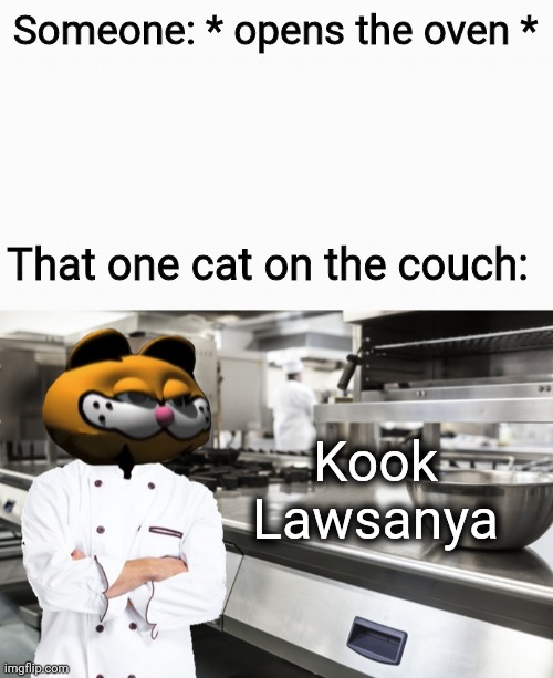 When the cat is hungry | Someone: * opens the oven *; That one cat on the couch:; Kook Lawsanya | image tagged in white box,garfield,stonks,meme man | made w/ Imgflip meme maker
