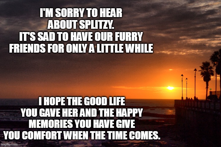 I'M SORRY TO HEAR ABOUT SPLITZY.
IT'S SAD TO HAVE OUR FURRY FRIENDS FOR ONLY A LITTLE WHILE I HOPE THE GOOD LIFE YOU GAVE HER AND THE HAPPY  | made w/ Imgflip meme maker