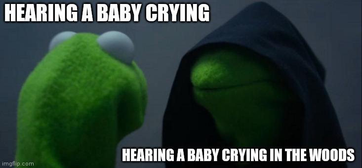 Evil Kermit Meme | HEARING A BABY CRYING; HEARING A BABY CRYING IN THE WOODS | image tagged in memes,evil kermit | made w/ Imgflip meme maker