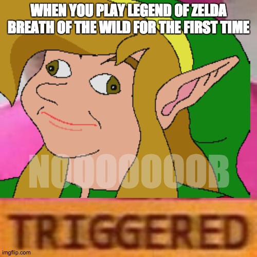 true | WHEN YOU PLAY LEGEND OF ZELDA BREATH OF THE WILD FOR THE FIRST TIME; NOOOOOOOB | image tagged in video games | made w/ Imgflip meme maker