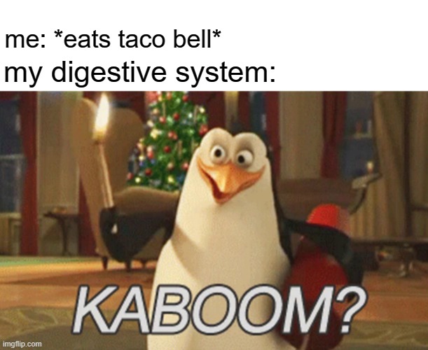 taco bell sploded my digestive system | me: *eats taco bell*; my digestive system: | image tagged in penguins of madagascar kaboom,taco bell | made w/ Imgflip meme maker