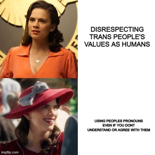template by muah | DISRESPECTING TRANS PEOPLE'S VALUES AS HUMANS; USING PEOPLES PRONOUNS EVEN IF YOU DONT UNDERSTAND OR AGREE WITH THEM | image tagged in peggy hotline bling,respect,gay,drake hotline bling | made w/ Imgflip meme maker