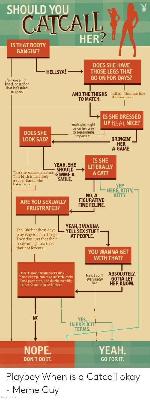 When to Catcall a Bitch | image tagged in when to catcall a bitch | made w/ Imgflip meme maker