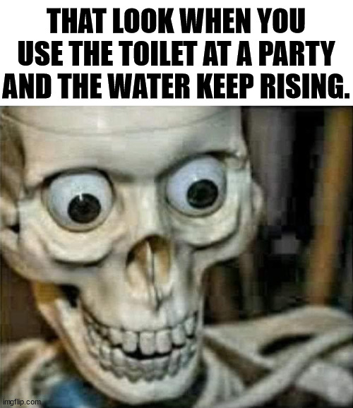 We might need a row boat .... |  THAT LOOK WHEN YOU USE THE TOILET AT A PARTY AND THE WATER KEEP RISING. | image tagged in bathroom,humor,toilet | made w/ Imgflip meme maker
