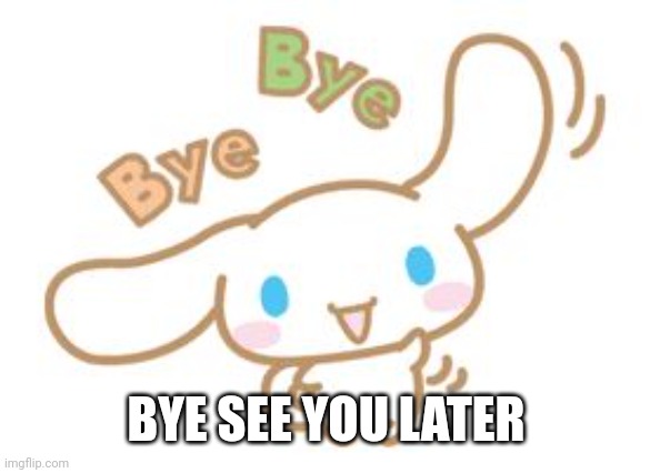 Bye bye | BYE SEE YOU LATER | image tagged in bye bye | made w/ Imgflip meme maker