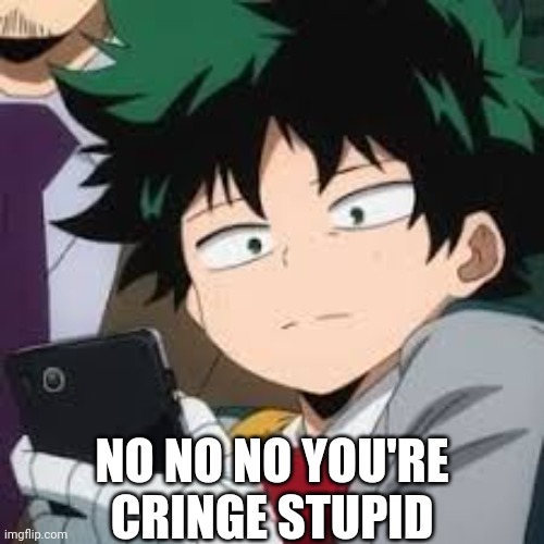 Deku dissapointed | NO NO NO YOU'RE CRINGE STUPID | image tagged in deku dissapointed | made w/ Imgflip meme maker