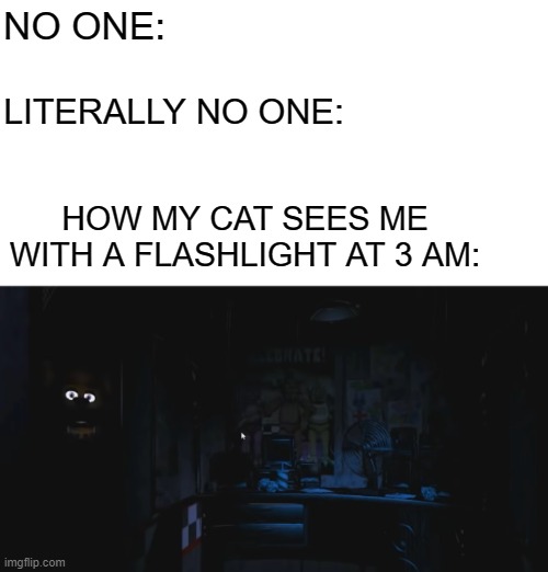 FNAF goes dam dam da-dam dam dam da-dam da-dam | NO ONE:; LITERALLY NO ONE:; HOW MY CAT SEES ME WITH A FLASHLIGHT AT 3 AM: | image tagged in fnaf,cats,memes,no one,relatable | made w/ Imgflip meme maker