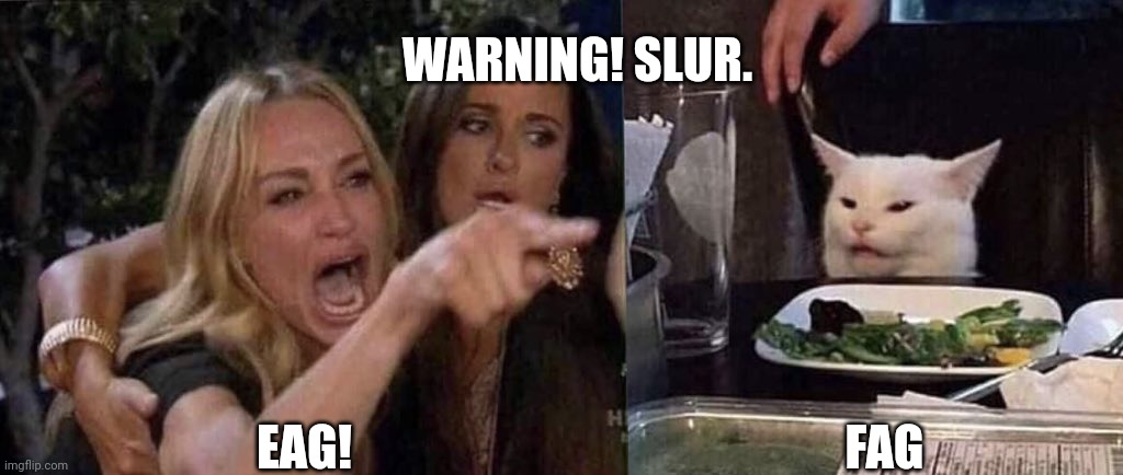 woman yelling at cat | EAG! FAG WARNING! SLUR. | image tagged in woman yelling at cat | made w/ Imgflip meme maker