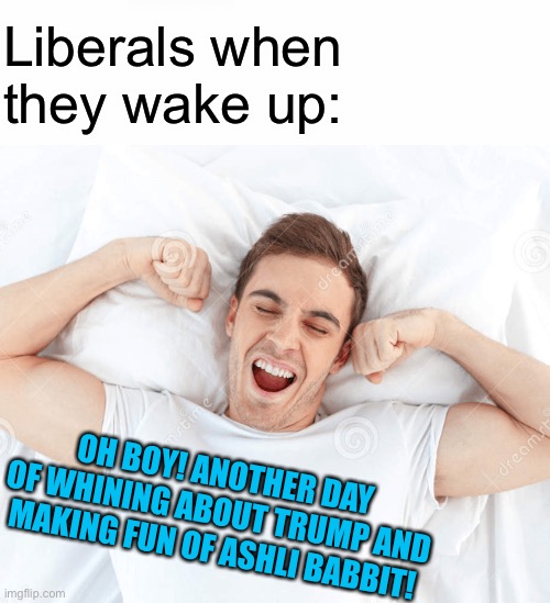 This goes out to some certain Ingflippers in this stream ;) | Liberals when they wake up:; OH BOY! ANOTHER DAY OF WHINING ABOUT TRUMP AND MAKING FUN OF ASHLI BABBIT! | image tagged in liberals | made w/ Imgflip meme maker