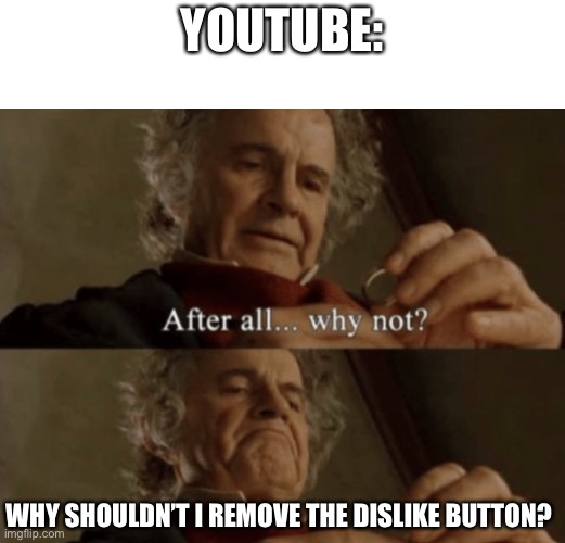 After all.. why not? |  YOUTUBE:; WHY SHOULDN’T I REMOVE THE DISLIKE BUTTON? | image tagged in after all why not | made w/ Imgflip meme maker