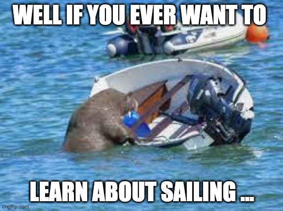 Well if you ever want to learn about sailing ... | WELL IF YOU EVER WANT TO; LEARN ABOUT SAILING ... | image tagged in wally,walrus | made w/ Imgflip meme maker