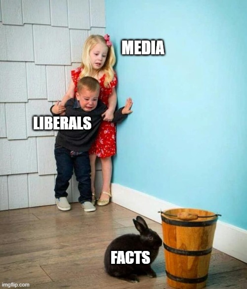 Liberals are so brave. Just ask them. | MEDIA; LIBERALS; FACTS | image tagged in liberals,democrats,liars,fools,dimwits,cowards | made w/ Imgflip meme maker