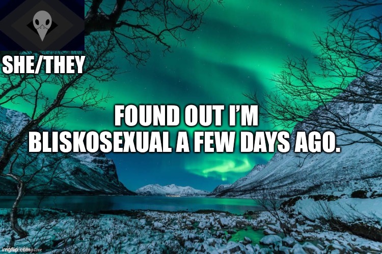 She/they | FOUND OUT I’M BLISKOSEXUAL A FEW DAYS AGO. | image tagged in she/they | made w/ Imgflip meme maker