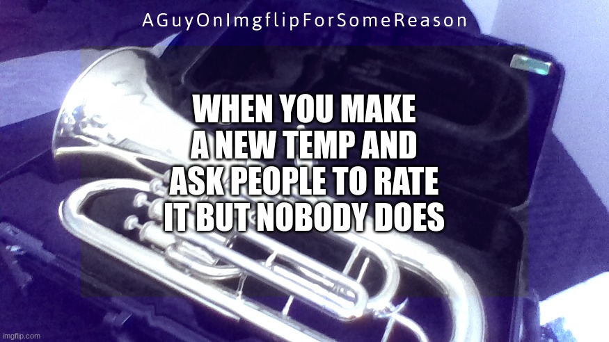 :( | WHEN YOU MAKE A NEW TEMP AND ASK PEOPLE TO RATE IT BUT NOBODY DOES | image tagged in aguyonimgflip announcement temp 4 | made w/ Imgflip meme maker