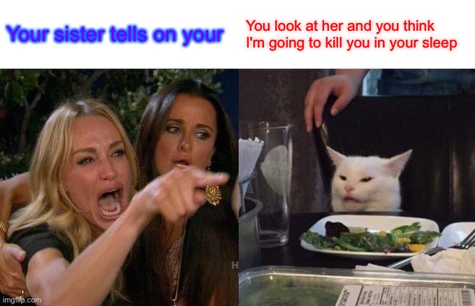 Woman Yelling At Cat | Your sister tells on your; You look at her and you think I'm going to kill you in your sleep | image tagged in memes,woman yelling at cat | made w/ Imgflip meme maker
