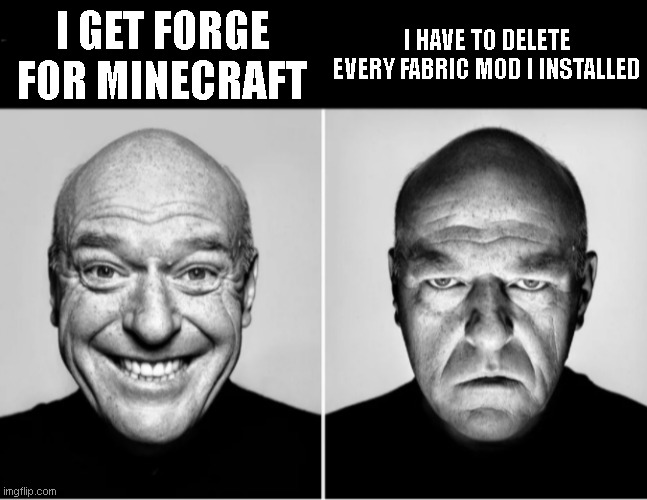 rip my fabric mods | I HAVE TO DELETE EVERY FABRIC MOD I INSTALLED; I GET FORGE FOR MINECRAFT | image tagged in deen noris smiling | made w/ Imgflip meme maker