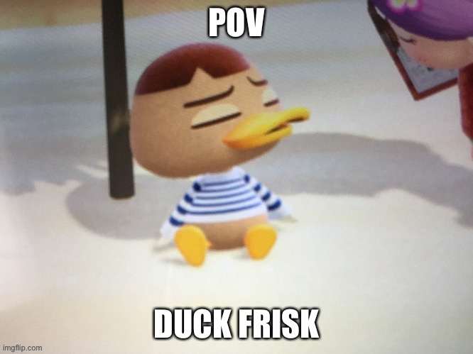 POV; DUCK FRISK | made w/ Imgflip meme maker