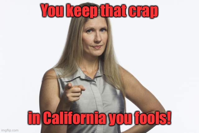 scolding mom | You keep that crap in California you fools! | image tagged in scolding mom | made w/ Imgflip meme maker