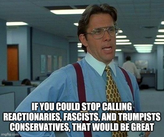 It's like conflating progressives and liberals with communists. | IF YOU COULD STOP CALLING REACTIONARIES, FASCISTS, AND TRUMPISTS CONSERVATIVES, THAT WOULD BE GREAT | image tagged in memes,that would be great,you keep using that word | made w/ Imgflip meme maker