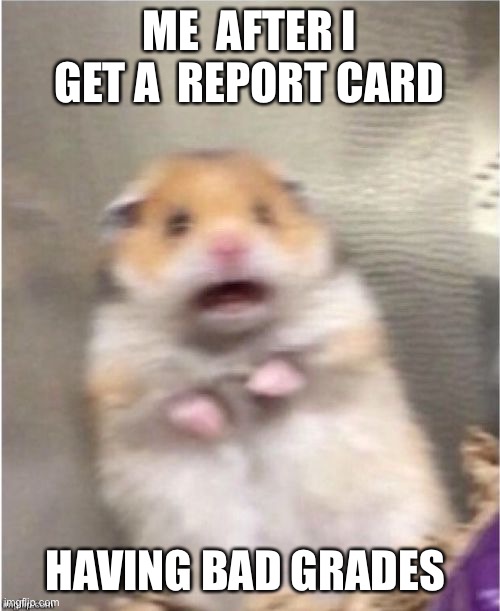 Me scared |  ME  AFTER I GET A  REPORT CARD; HAVING BAD GRADES | image tagged in scared hamster | made w/ Imgflip meme maker
