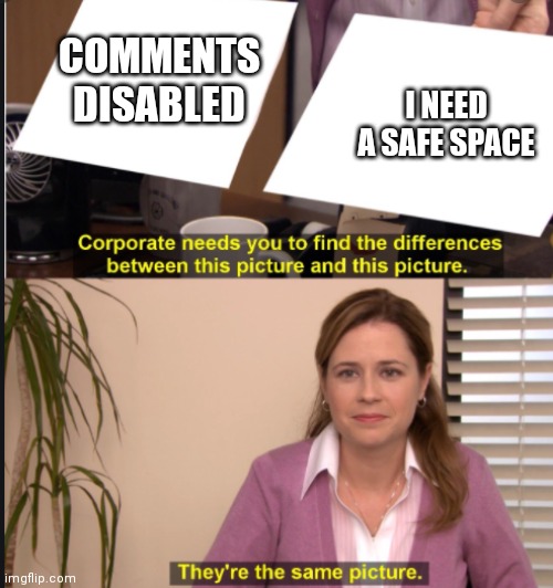No comment |  COMMENTS DISABLED; I NEED A SAFE SPACE | image tagged in they're the same picture | made w/ Imgflip meme maker