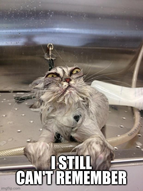Angry Wet Cat | I STILL CAN'T REMEMBER | image tagged in angry wet cat | made w/ Imgflip meme maker