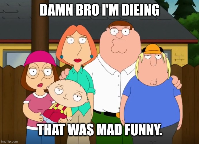 damn bro | DAMN BRO I'M DIEING THAT WAS MAD FUNNY. | image tagged in damn bro | made w/ Imgflip meme maker