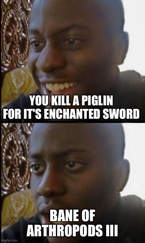 B R U H | YOU KILL A PIGLIN FOR IT'S ENCHANTED SWORD; BANE OF ARTHROPODS III | image tagged in disappointed black guy | made w/ Imgflip meme maker