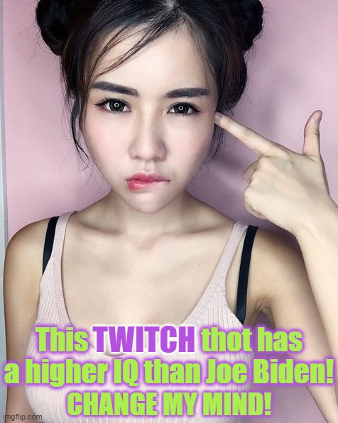 This                     thot has
a higher IQ than Joe Biden! TWITCH; CHANGE MY MIND! | image tagged in lets go brandon,corruption,biden,iq,cognitive impairment,twitch | made w/ Imgflip meme maker