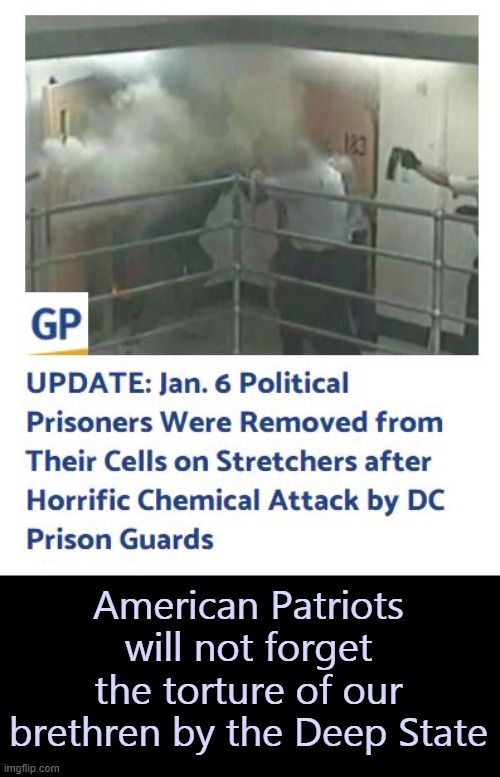 American Patriots will not forget the torture of our brethren by the Deep State | made w/ Imgflip meme maker
