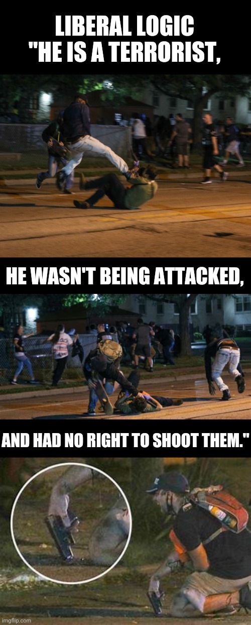 LIBERAL LOGIC 
"HE IS A TERRORIST, HE WASN'T BEING ATTACKED, AND HAD NO RIGHT TO SHOOT THEM." | image tagged in kyle rittenhouse defends himself | made w/ Imgflip meme maker