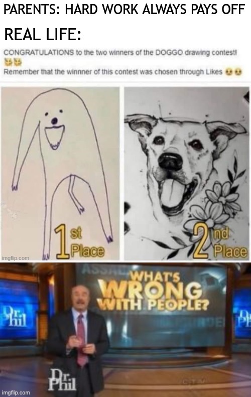 Day 1176 of no title | image tagged in doggo,dr phil what's wrong with people | made w/ Imgflip meme maker