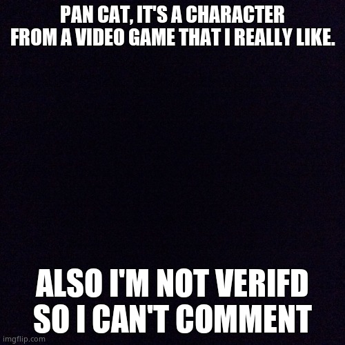 Black screen  |  PAN CAT, IT'S A CHARACTER FROM A VIDEO GAME THAT I REALLY LIKE. ALSO I'M NOT VERIFD SO I CAN'T COMMENT | image tagged in black screen | made w/ Imgflip meme maker