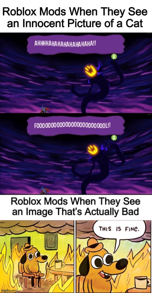 Roblox Moderation in a Nutshell | Roblox Mods When They See an Innocent Picture of a Cat | image tagged in roblox,a hat in time,this is fine | made w/ Imgflip meme maker