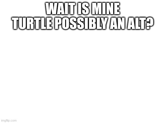 Blank White Template | WAIT IS MINE TURTLE POSSIBLY AN ALT? | image tagged in blank white template | made w/ Imgflip meme maker