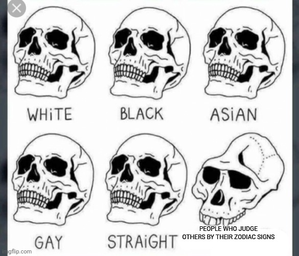 Haha very original | PEOPLE WHO JUDGE OTHERS BY THEIR ZODIAC SIGNS | image tagged in white black asian gay straight skull template | made w/ Imgflip meme maker