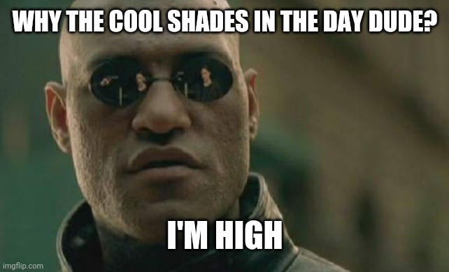 Matrix Morpheus | WHY THE COOL SHADES IN THE DAY DUDE? I'M HIGH | image tagged in memes,matrix morpheus | made w/ Imgflip meme maker