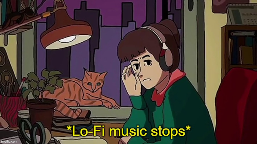 *Lo-Fi music stops* | image tagged in lofi music stops | made w/ Imgflip meme maker