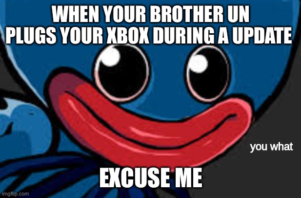 you what (Huggy Wuggy edition) | WHEN YOUR BROTHER UN PLUGS YOUR XBOX DURING A UPDATE; EXCUSE ME | image tagged in you what huggy wuggy edition | made w/ Imgflip meme maker