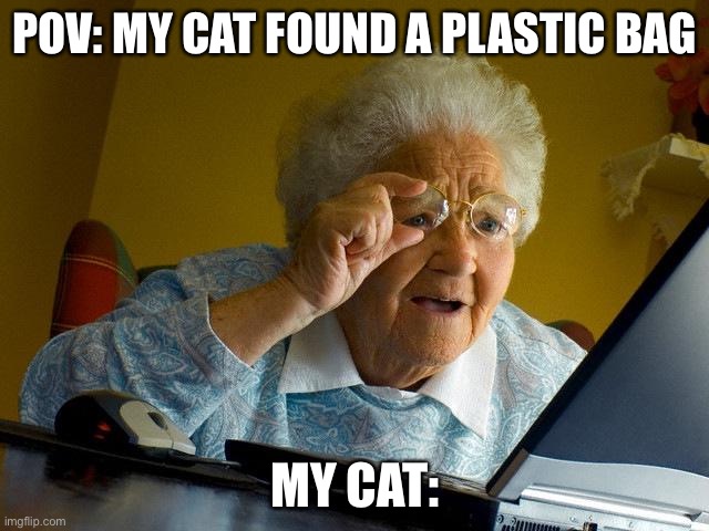 My cat when he finds a plastic bag- | POV: MY CAT FOUND A PLASTIC BAG; MY CAT: | image tagged in memes,grandma finds the internet,cat | made w/ Imgflip meme maker