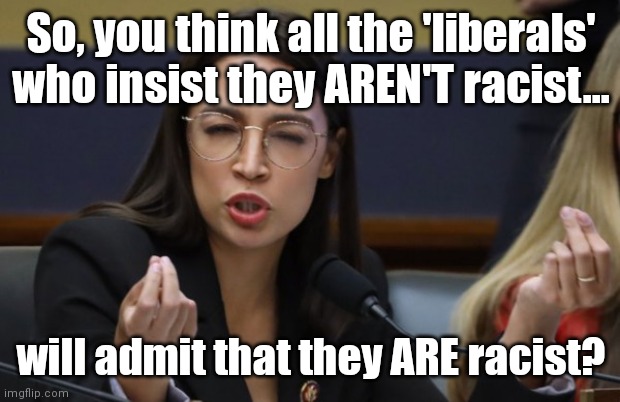 aoc Spicy Meatball | So, you think all the 'liberals' who insist they AREN'T racist... will admit that they ARE racist? | image tagged in aoc spicy meatball | made w/ Imgflip meme maker