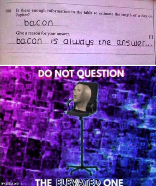 Bacon | image tagged in lol,do not question the elevated one | made w/ Imgflip meme maker
