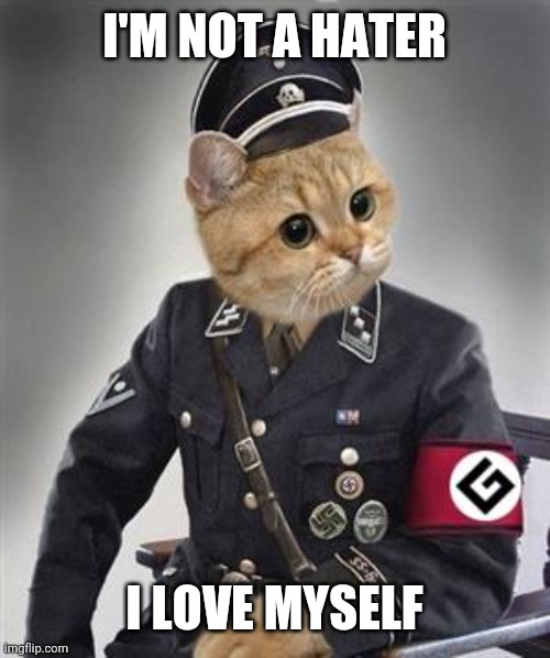 Grammar Nazi Cat | I'M NOT A HATER; I LOVE MYSELF | image tagged in grammar nazi cat | made w/ Imgflip meme maker