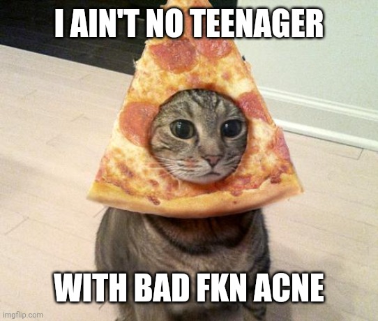 pizza cat | I AIN'T NO TEENAGER; WITH BAD FKN ACNE | image tagged in pizza cat | made w/ Imgflip meme maker