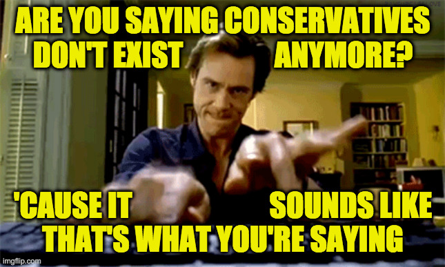 jim carrey keyboard | ARE YOU SAYING CONSERVATIVES
DON'T EXIST                ANYMORE? 'CAUSE IT                        SOUNDS LIKE
THAT'S WHAT YOU'RE SAYING | image tagged in jim carrey keyboard | made w/ Imgflip meme maker